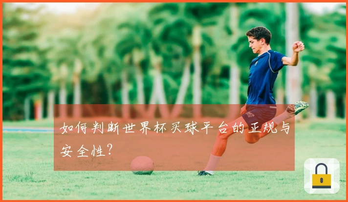 如何判断世界杯买球平台的正规与安全性？