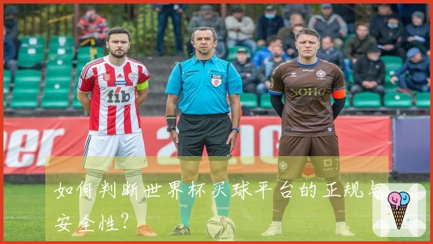 如何判断世界杯买球平台的正规与安全性？