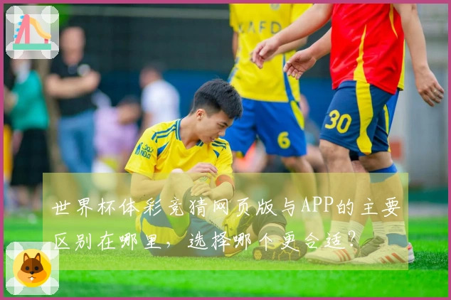 世界杯体彩竞猜网页版与APP的主要区别在哪里，选择哪个更合适？