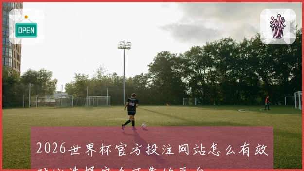 2026世界杯官方投注网站怎么有效对比选择安全可靠的平台