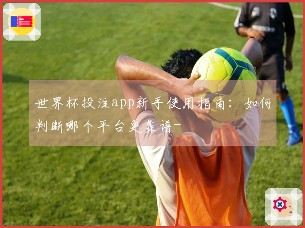 世界杯投注app新手使用指南：如何判断哪个平台更靠谱-