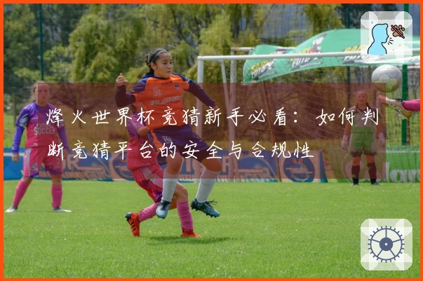 烽火世界杯竞猜新手必看：如何判断竞猜平台的安全与合规性
