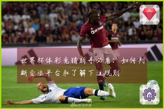 世界杯体彩竞猜新手必看：如何判断合法平台和了解下注规则
