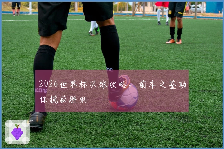 2026世界杯买球攻略，前车之鉴助你揽获胜利
