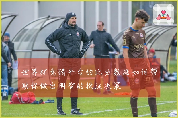 世界杯竞猜平台的比分数据如何帮助你做出明智的投注决策