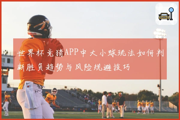 世界杯竞猜APP中大小球玩法如何判断胜负趋势与风险规避技巧