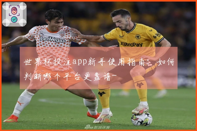 世界杯投注app新手使用指南：如何判断哪个平台更靠谱-