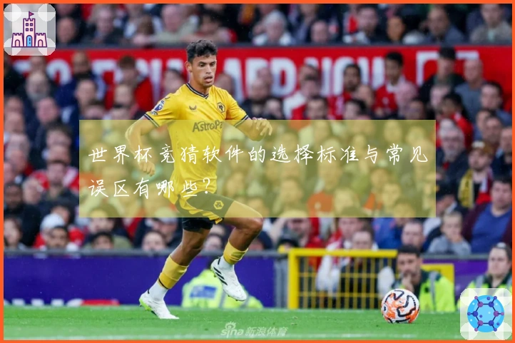 世界杯竞猜软件的选择标准与常见误区有哪些？
