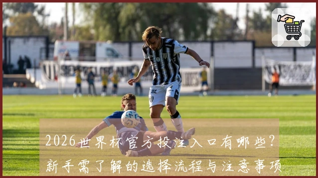 2026世界杯官方投注入口有哪些？新手需了解的选择流程与注意事项