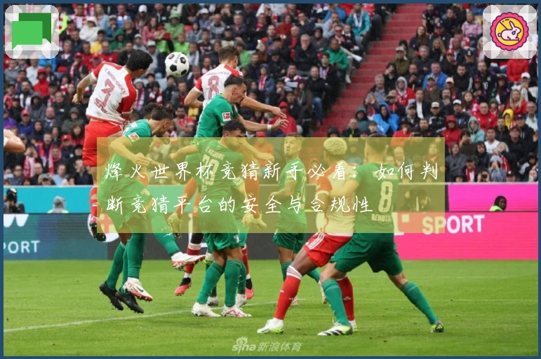 烽火世界杯竞猜新手必看：如何判断竞猜平台的安全与合规性