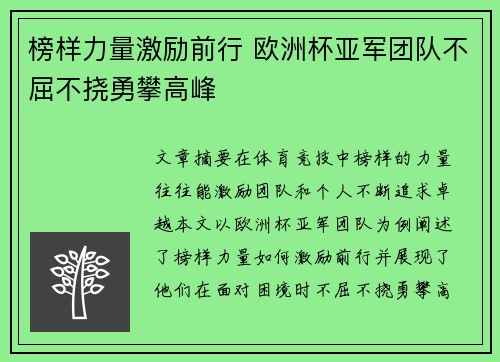 榜样力量激励前行 欧洲杯亚军团队不屈不挠勇攀高峰