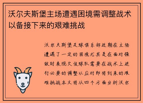 沃尔夫斯堡主场遭遇困境需调整战术以备接下来的艰难挑战