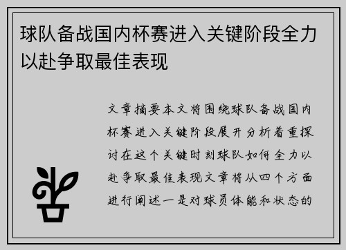 球队备战国内杯赛进入关键阶段全力以赴争取最佳表现