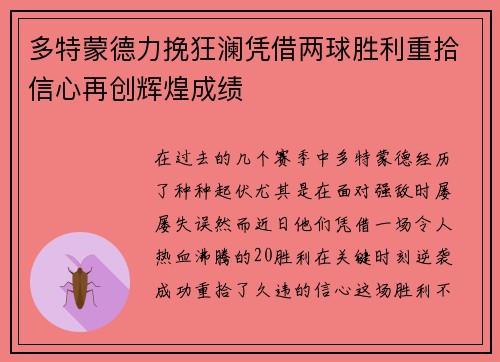 多特蒙德力挽狂澜凭借两球胜利重拾信心再创辉煌成绩