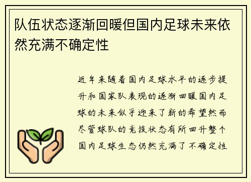 队伍状态逐渐回暖但国内足球未来依然充满不确定性