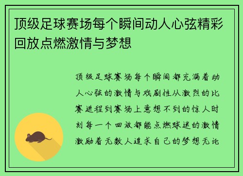 顶级足球赛场每个瞬间动人心弦精彩回放点燃激情与梦想